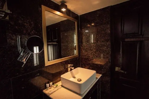 Premium İki Ayrı Yataklı Oda, 1 Yatak Odası, Şehir Manzaralı