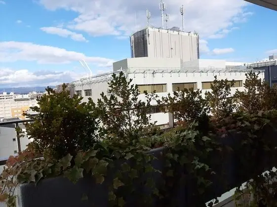 Deluxe Oda (5th Floor~, 25m2)