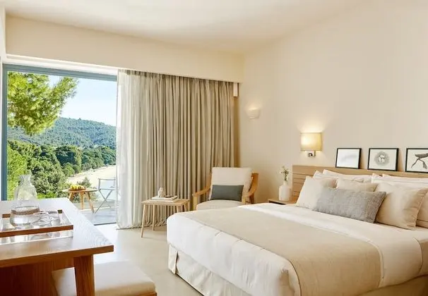 Deluxe Tek Büyük Yataklı Oda (Elivi  Xenia Hotel)