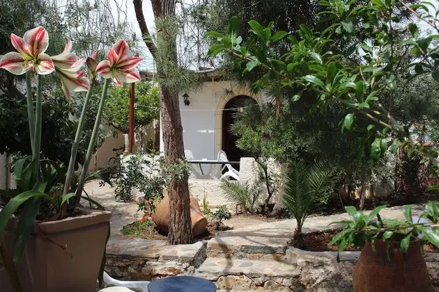 Stüdyo, Bahçe Manzaralı, Bahçeli