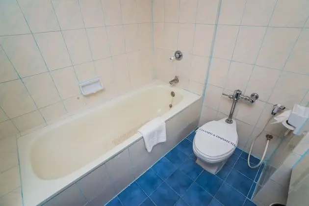 Superior Tek Büyük Yataklı Oda, 1 En Büyük (King) Boy Yatak