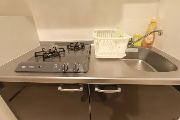 Standard Tek Büyük Yataklı Oda (SS44)