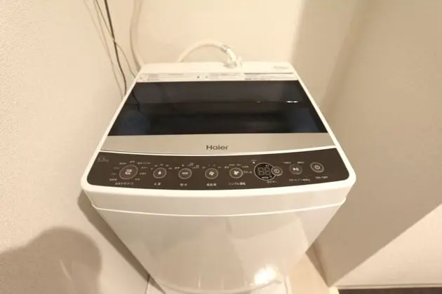 Standard Tek Büyük Yataklı Oda (SS44)