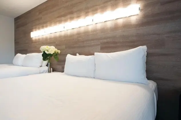 Standard Çatı Katı (Loft)
