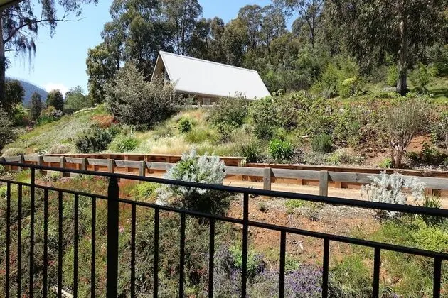Standard Oda, Park Manzaralı