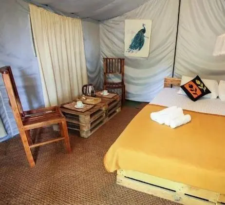 Luxury Çadır