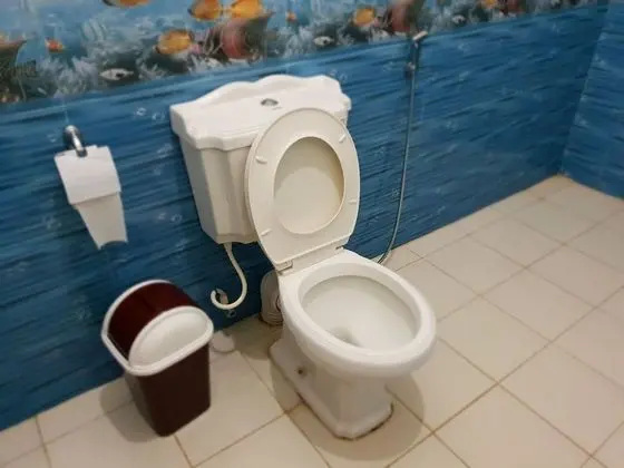 Deluxe Tek Büyük Yataklı Oda, 1 Çift Kişilik Yatak, Balkon, Tepe Manzaralı