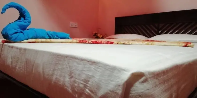 Family Oda, 2 Çift Kişilik Yatak, Sigara İçilmez