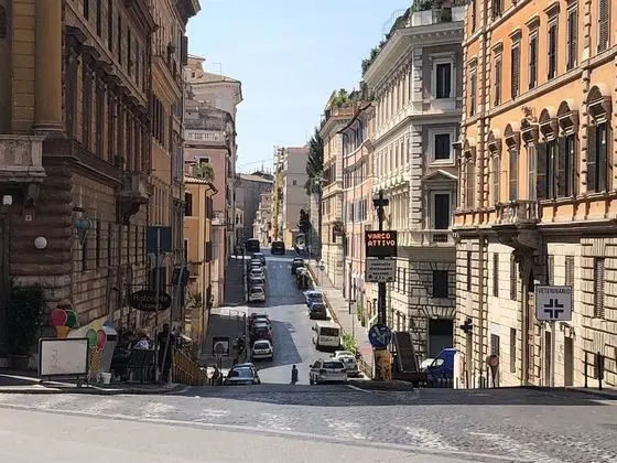 Deluxe Tek Büyük Yataklı Oda, 1 Büyük (Queen) Boy Yatak