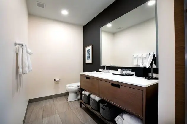Süit, 1 Yatak Odası, Şehir Manzaralı (penthouse)