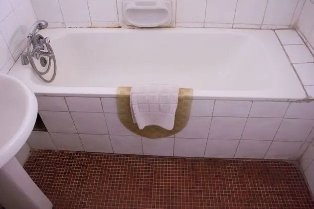 Süit