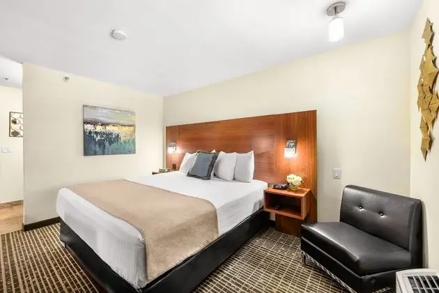 Deluxe Oda, 1 En Büyük (King) Boy Yatak