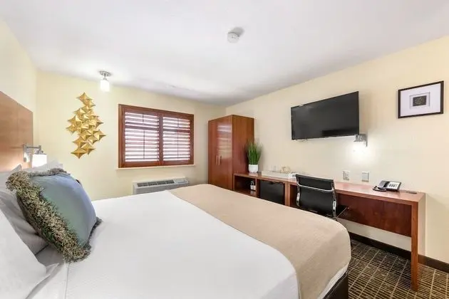 Deluxe Oda, 1 En Büyük (King) Boy Yatak