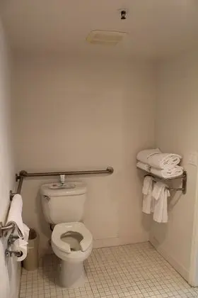 ADA Accessible King Room