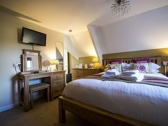 Standard Tek Büyük Yataklı Oda, Banyolu/Duşlu (Room 5)