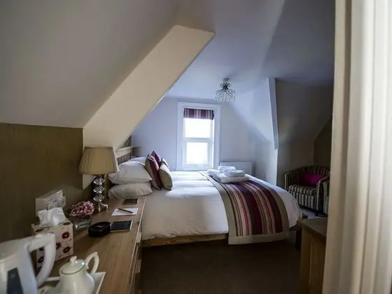Standard Tek Büyük Yataklı Oda, Banyolu/Duşlu (Room 5)
