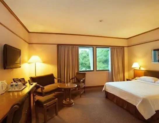 Deluxe Oda, 1 Yatak Odası