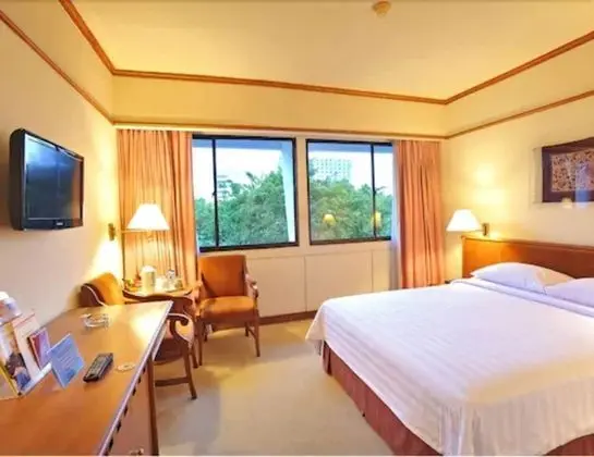 Superior Tek Büyük Yataklı Oda