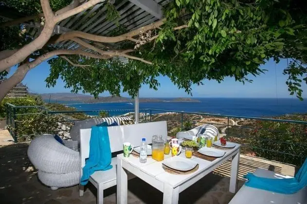 Luxury Villa