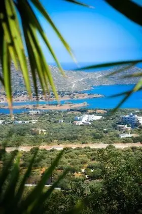 Villa, Kişiye Özel Havuzlu