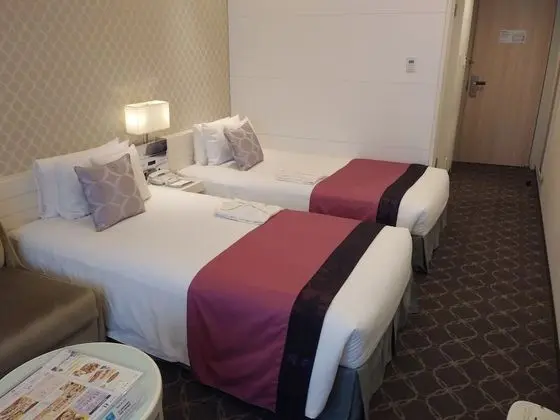 Standard İki Ayrı Yataklı Oda, Sigara İçilmez (22sqm)