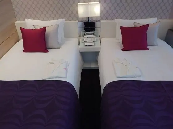 Standard İki Ayrı Yataklı Oda, Sigara İçilmez (22sqm)