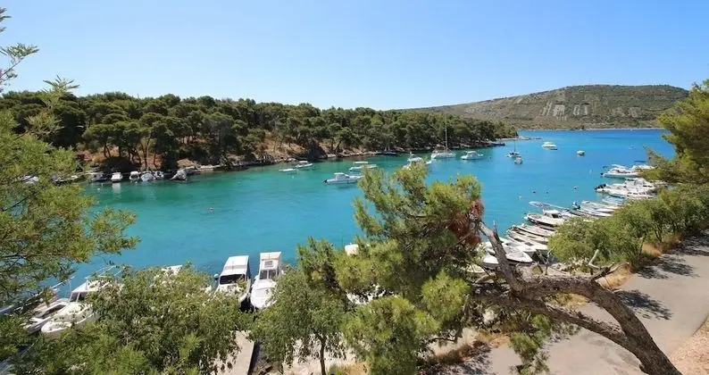 Apart Daire (Elvi - amazing position & parking - A)