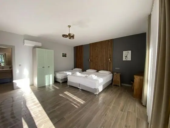 Deluxe Üç Kişilik Oda , Bahçe Manzaralı, Balkonlu