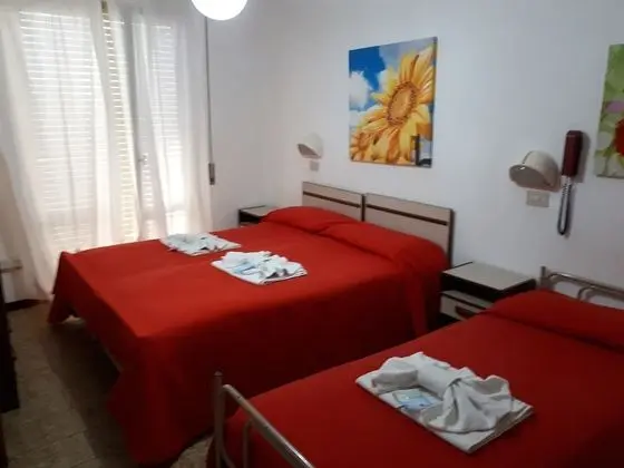Tek Büyük veya İki Ayrı Yataklı Oda, Balkon