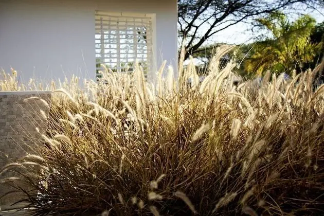 Standard Tek Büyük veya İki Ayrı Yataklı Oda, 2 Tek Kişilik Yatak