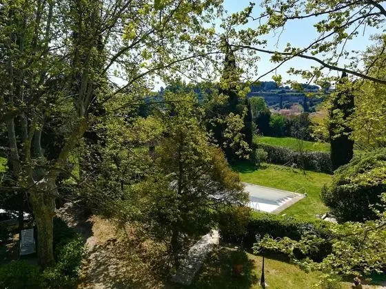 Süit (Lavande)