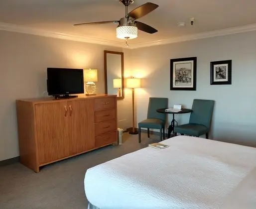 Superior King Partial Bay View – Non Pet Friendly