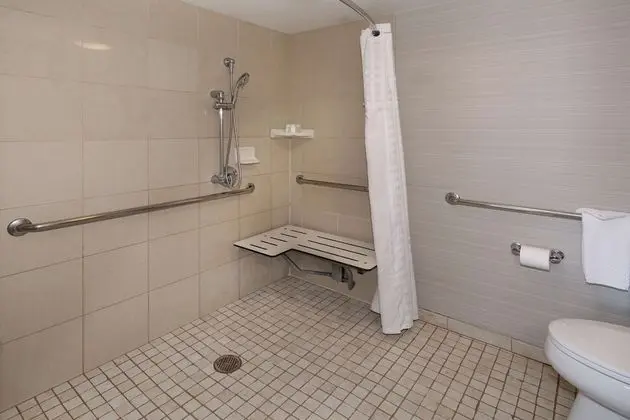 Süit, 2 Büyük (Queen) Boy Yatak, Engellilere Uygun (Mobility, Roll-in Shower)