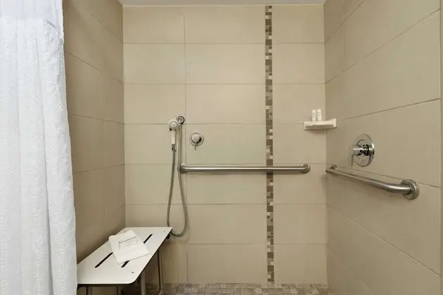 Süit, 1 En Büyük (King) Boy Yatak, Engellilere Uygun (Hr Acc Roll-In Shower)
