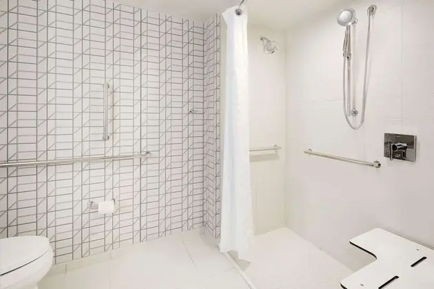 Premium Süit, 1 En Büyük (King) Boy Yatak, Engellilere Uygun (Roll-In Shower)