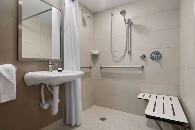 Süit, 1 En Büyük (King) Boy Yatak, Engellilere Uygun (Mobility & Hearing, Roll-in Shower)