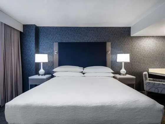 Suites, 1 King Bed, Non Smoking