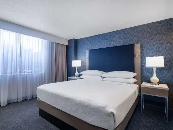 Suites, 1 King Bed, Non Smoking