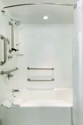 Süit, 1 Çift Kişilik Yatak, Engellilere Uygun, Sigara İçilmez (Mobility & Hearing, Roll-in Shower)