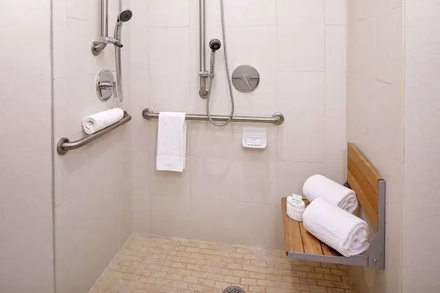 Süit, 2 Çift Kişilik Yatak, Engellilere Uygun, Sigara İçilmez (Roll-in Shower)