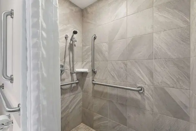 Süit, Engellilere Uygun, Sigara İçilmez (Roll-in Shower)