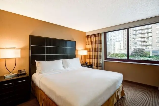 Süit, 1 En Büyük (King) Boy Yatak ve Çekyat (2 Room)
