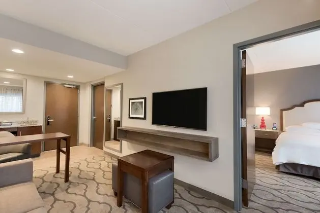 Süit, 1 En Büyük (King) Boy Yatak, Sigara İçilmez (PURE Allergy Friendly Suite)