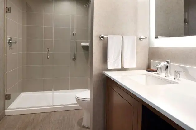 Süit, 1 En Büyük (King) Boy Yatak, Sigara İçilmez (PURE Allergy Friendly Suite)