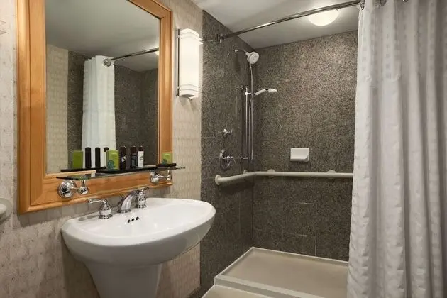 Süit, 1 En Büyük (King) Boy Yatak, Sigara İçilmez (Shower Only)
