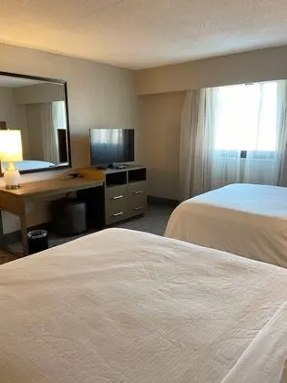 Executive Süit, 2 Çift Kişilik Yatak
