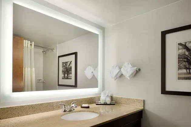 Premium Süit, 2 Çift Kişilik Yatak, Sigara İçilmez