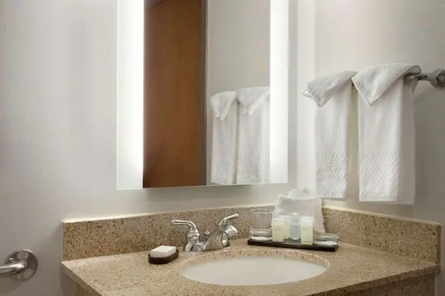 Süit, 2 Çift Kişilik Yatak, Engellilere Uygun (Mobility/Hearing, Roll-in Shower)