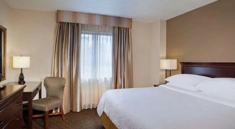 Premium Süit, 1 En Büyük (King) Boy Yatak (2 Rooms)