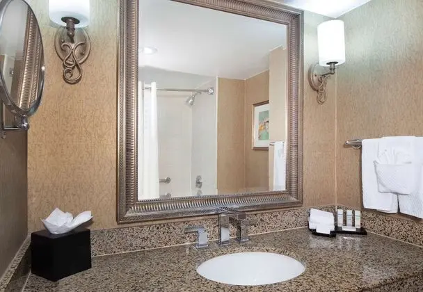 Premium Süit, 1 En Büyük (King) Boy Yatak (2 Rooms)